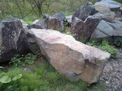 遠野の石
